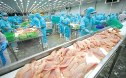 IoTeamVN – Quản lý năng lượng